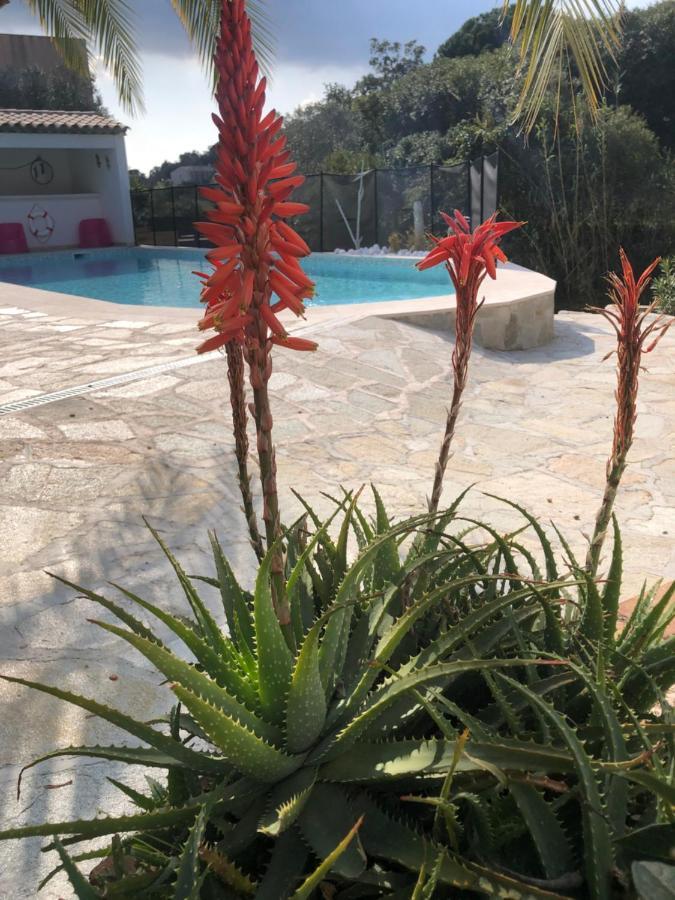 Maxima Sunset Apartamento Sainte-Maxime Exterior foto